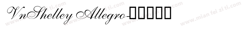 VnShelley Allegro字体转换